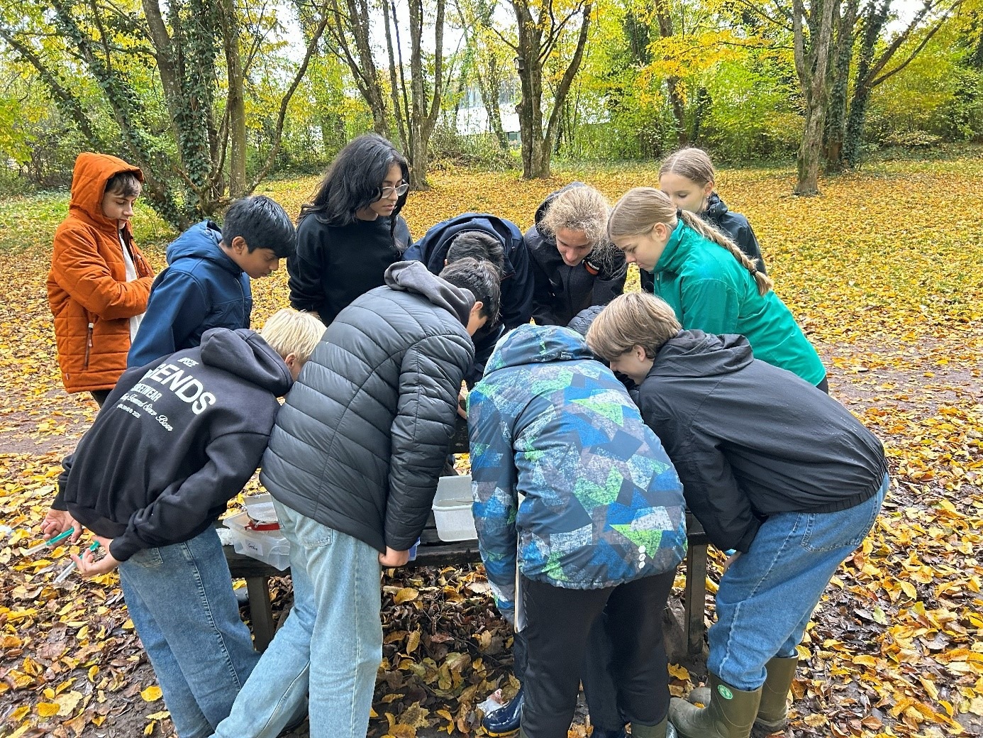 Mehr über den Artikel erfahren Neuntklässler untersuchen die Gewässergüte des Brettenbachs – Wasserqualität „gut“!